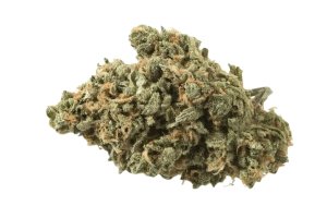 IMC GUM THC26 Selected